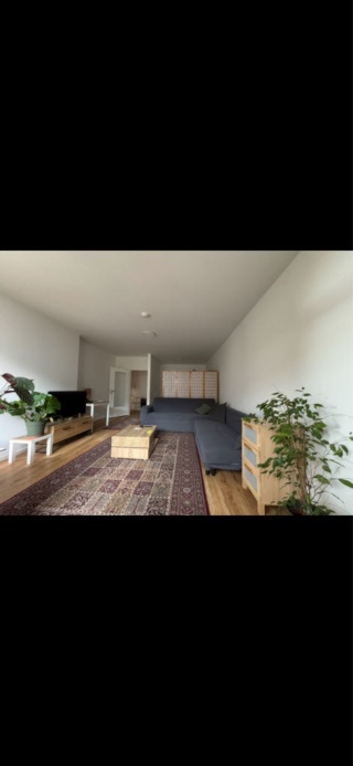 50m2 1 room apartment with separated kitchen + balcony for rent for the month of November 2026