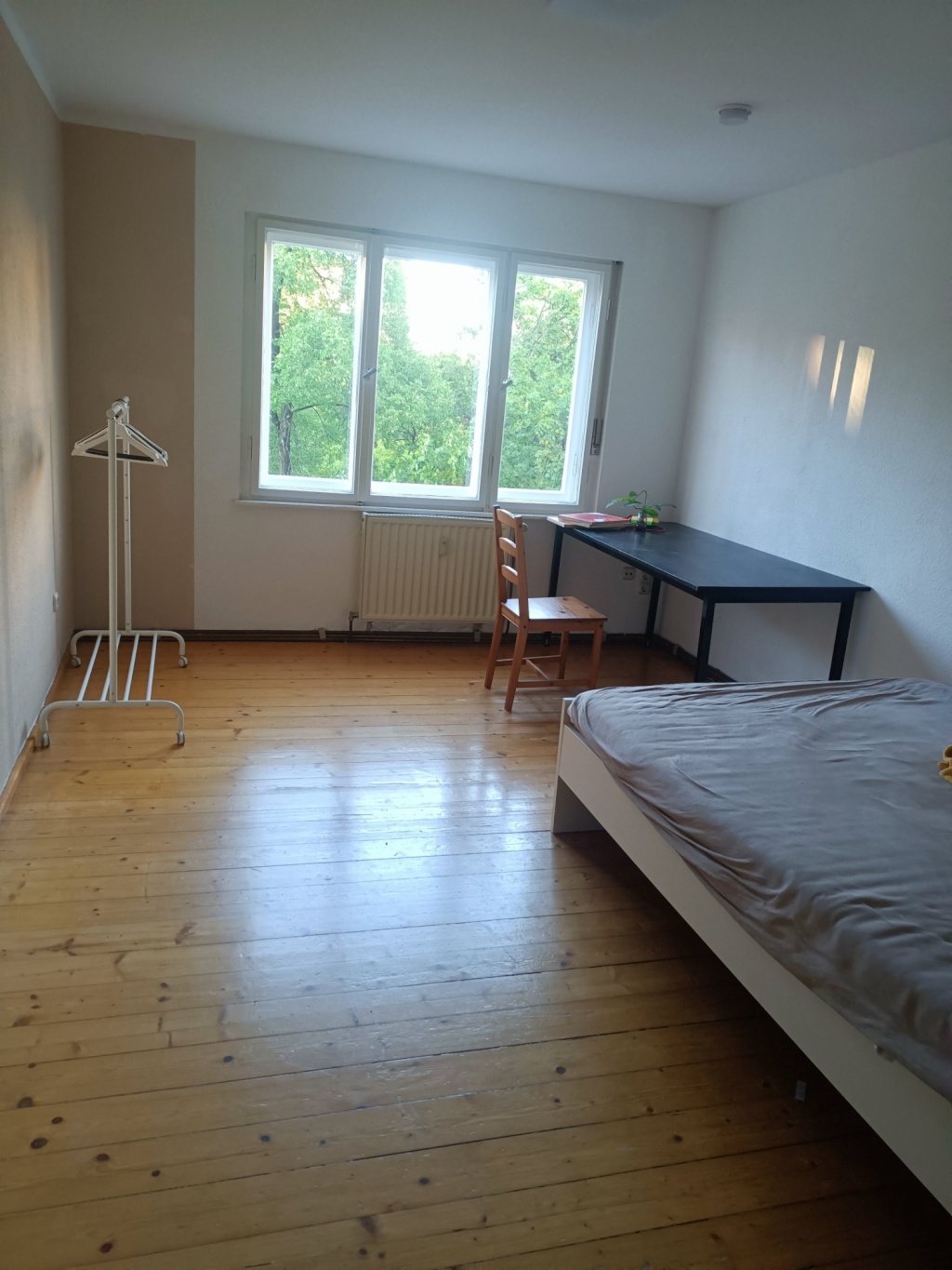 WG-Zimmer Rabus Humboldtstraße - Bild 1