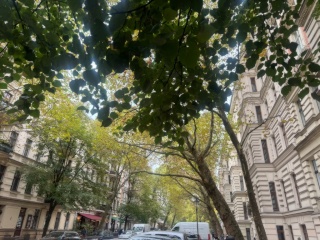 Cozy Flat Kollwitzplatz — photo 1