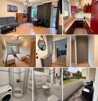 2-Zimmer-Wohnung zur Vermietung — photo 1