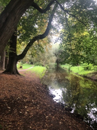 Wohnung zur Untermiete neben dem Schlosspark in Pankow — photo 1