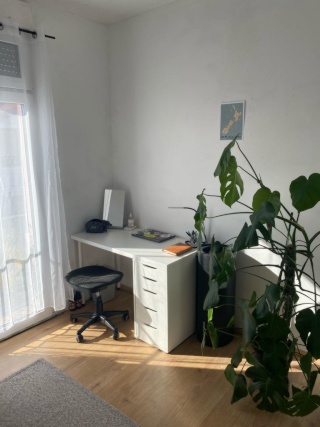 Anzeigenbild: Schöne Mädels WG in Bessungen✨