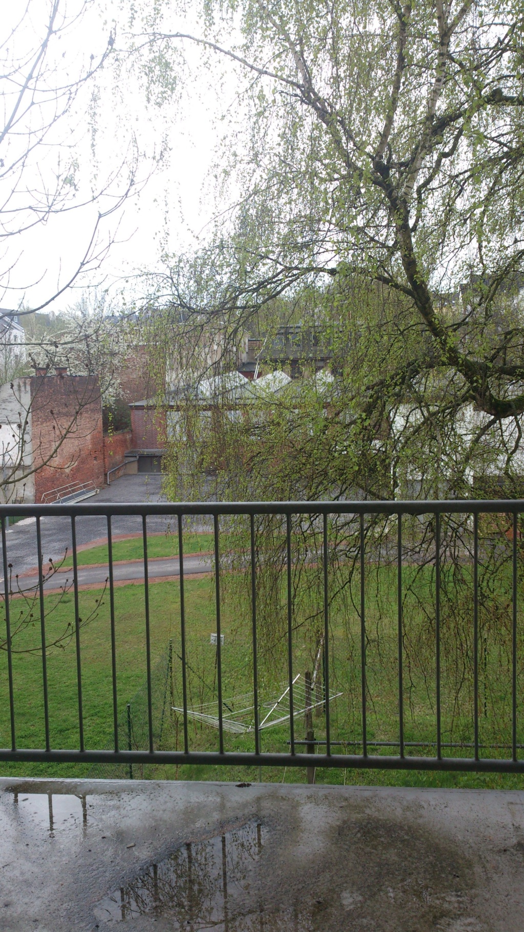 Wohnung Lutherviertel Bernhardstraße - Bild 16