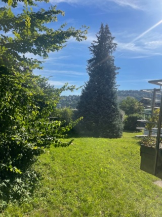 neu renovierte 3-Zimmerwohnung im Grünen Halbhöhenlage Stuttgart - Süd