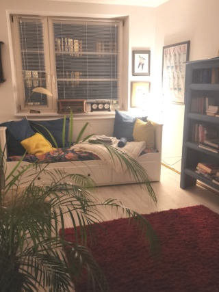 Wohnung mit Wohnküche +Balkon — photo 1