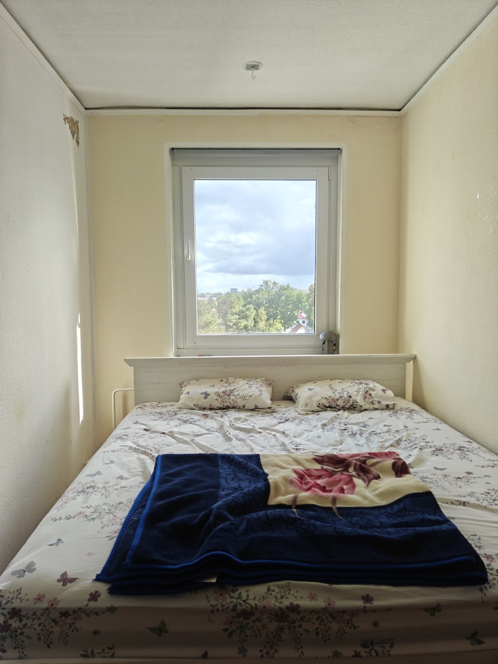 Wohnung Johannisthal Akeleiweg 7 - Bild 3