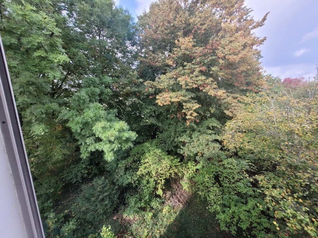 Wohnung Bergerhausen Am Krausen Bäumchen 49 - Bild 18