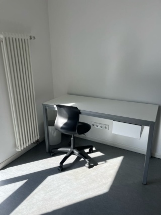 Anzeigenbild: Voll möbliertes 1-Zimmer-Appartement (eigenes Bad & Küche) in bester Innenstadtlage (31.10. – 28.11.) – Gym & Aufzug!