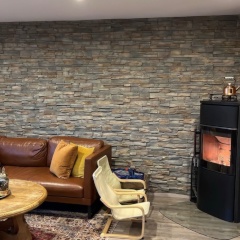 Ad image: Haus WG noch 2 zimmer frei mit Terrasse und Kamin