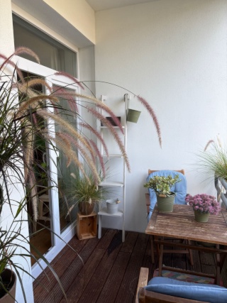 Tolle helle ruhige möblierte Wohnung mit Balkon Köln Sülz zur Zwischenmiete