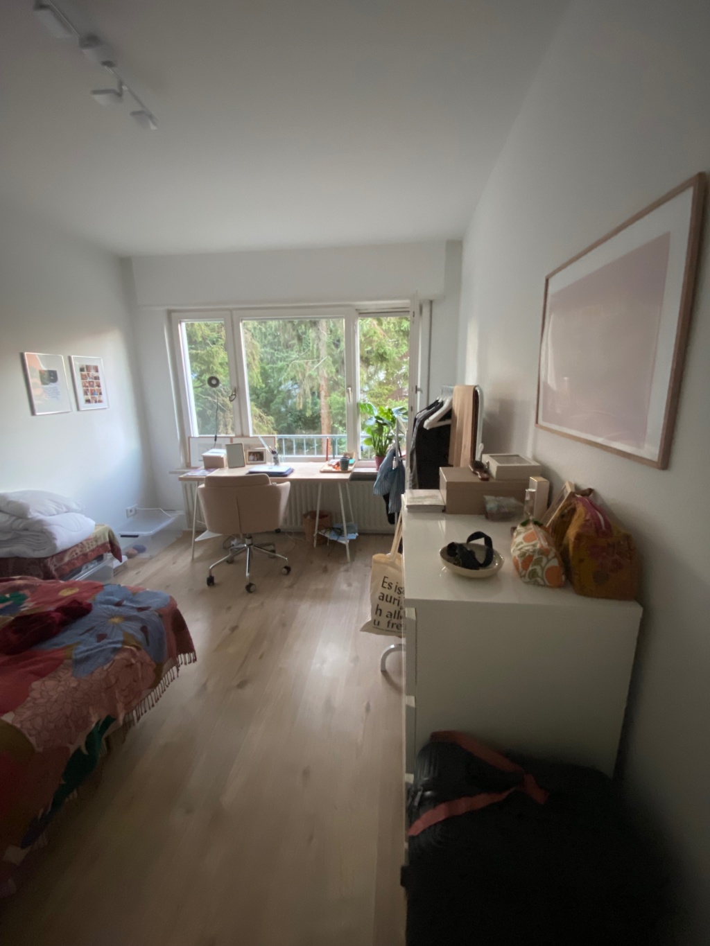 Flatshare Rohrbach Am Rohrbach - picture 3