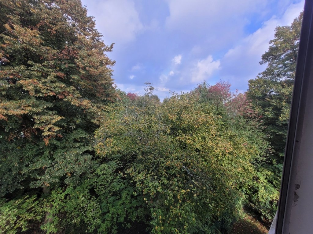 Wohnung Bergerhausen Am Krausen Bäumchen 49 - Bild 19