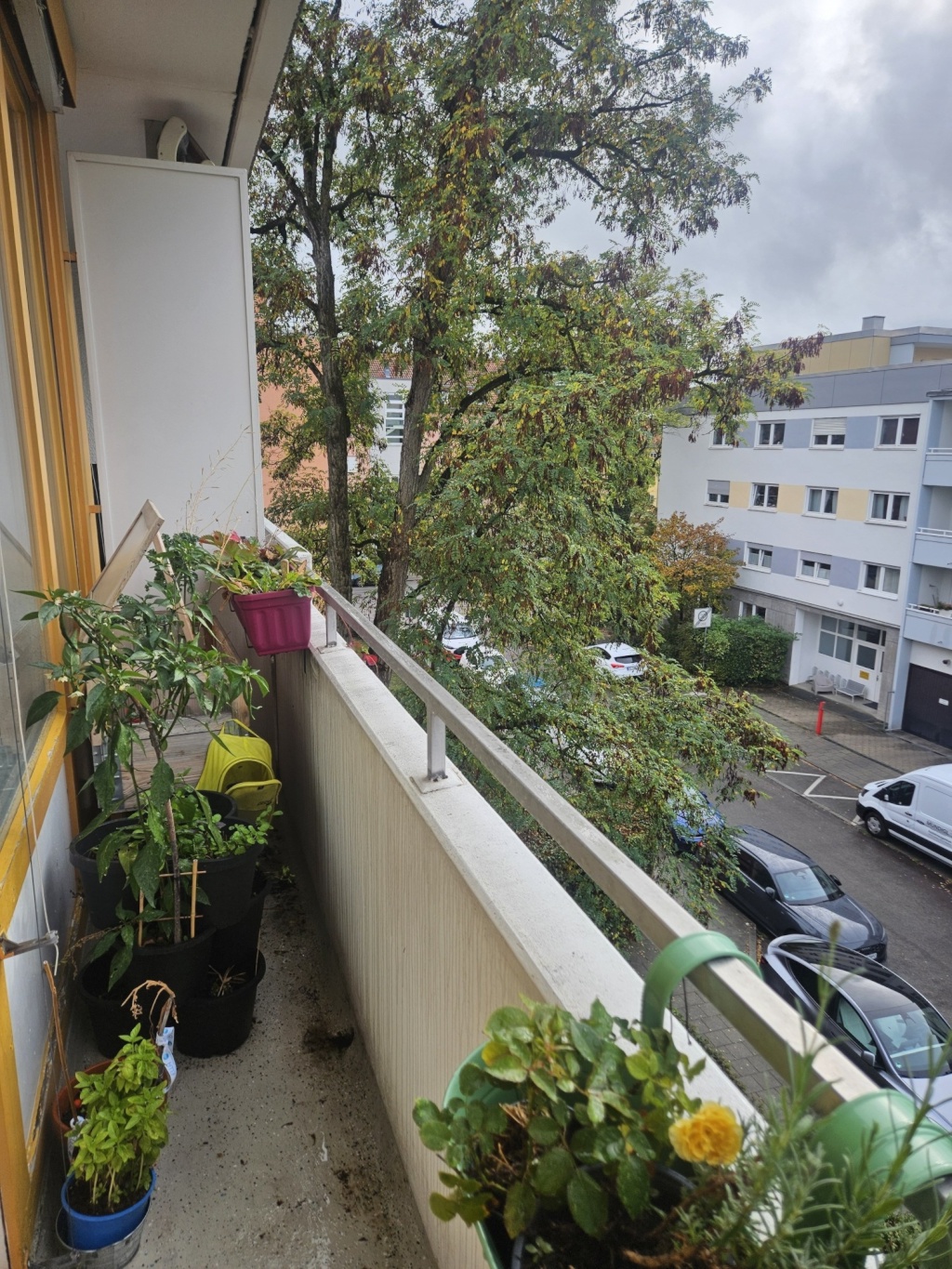 Flat München - Thalk.Obersendl.-Forsten-Fürstenr.-Solln Ludwig-Braille Str. - picture 7