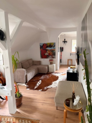 Untermiete gesucht 1.11.2026-30.07.2027 — photo 1
