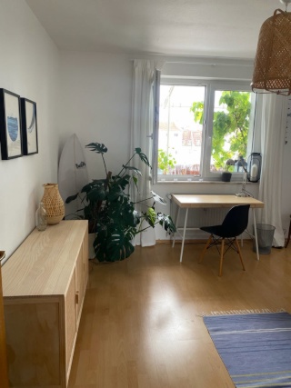 Ruhiges WG-Zimmer im 5. OG (München Maxvorstadt)