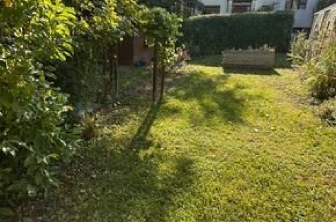 WG-Zimmer Gaustadt Hopfengartenstr. 31 - Garten
