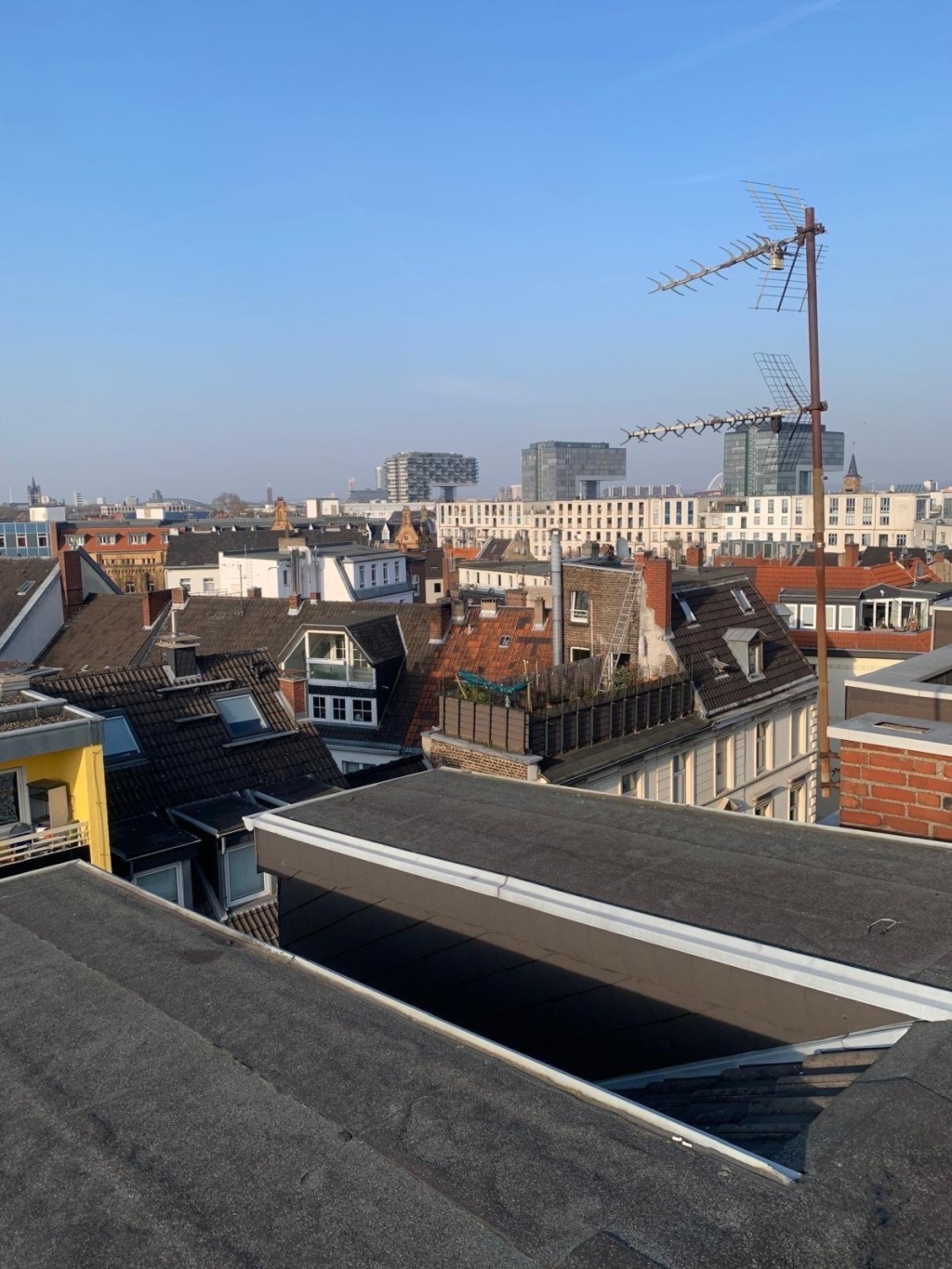 WG-Zimmer Altstadt-Süd Severinswall 14 - Bild 4