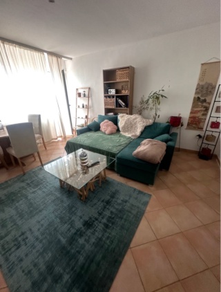 schöne große Wohnung mit Balkon