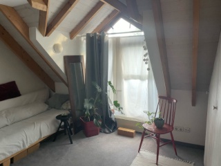 Anzeigenbild: Gemütliches Apartment mit Balkon in Sülz