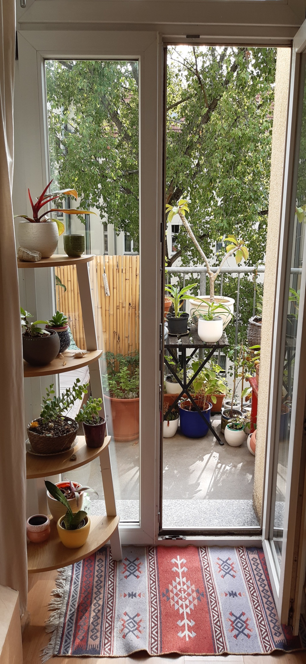 Wohnung Berlin Schliemannstr. 35 - Balkon