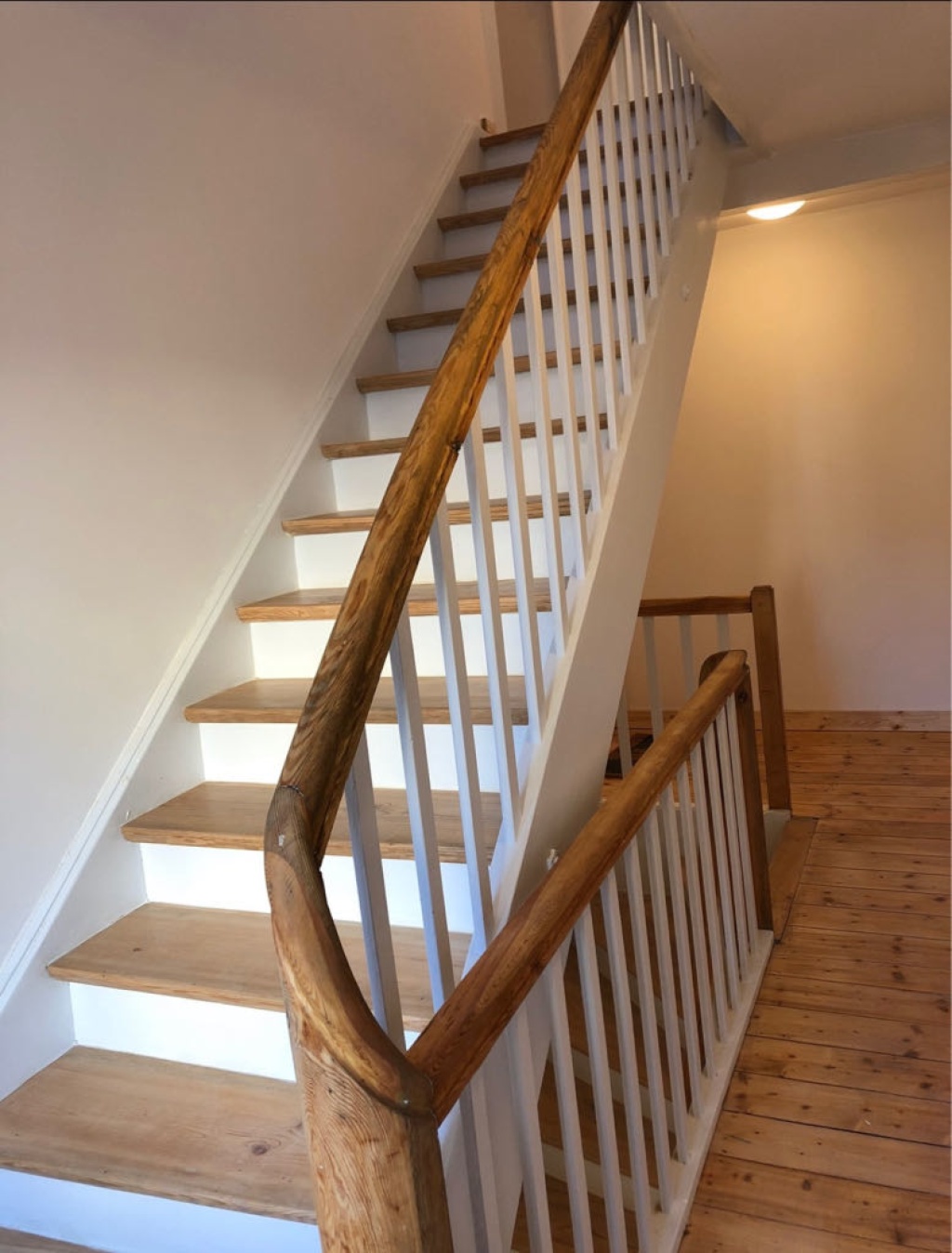 WG-Zimmer Rohrbach Schelklystraße 30 - Bild 5