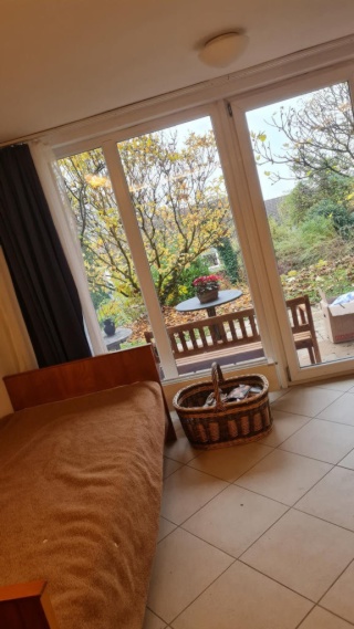 Anzeigenbild: 1 Zimmer Apartment in Tübingen mit Terasse