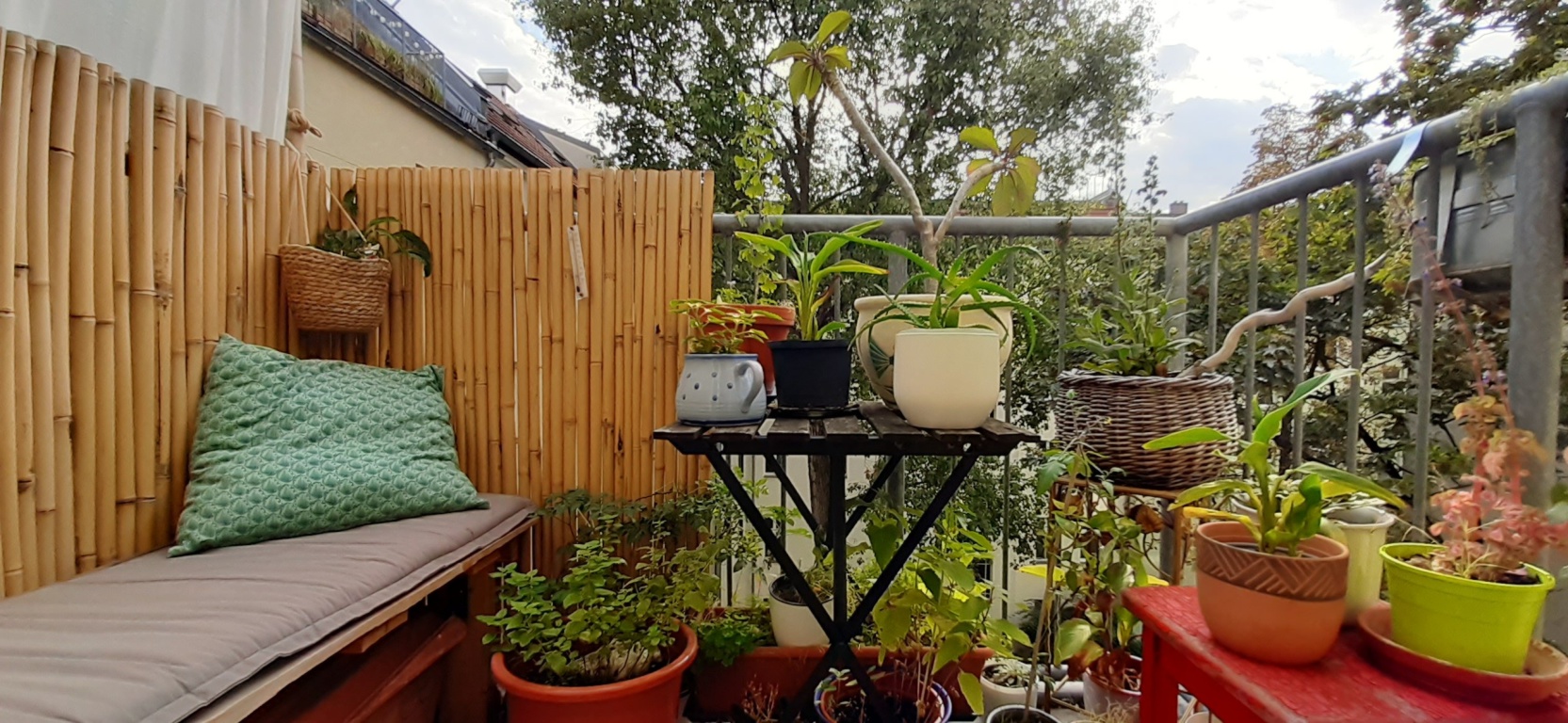 Wohnung Berlin Schliemannstr. 35 - Balkon