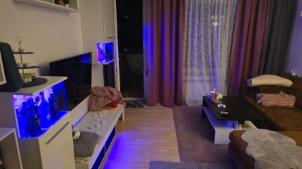 Nachmieterin/Nachmieter für die helle 2-Zimmer-Wohnung in Frankfurt Rödelheim/Hausen ab 01.02.2027 gesucht (Küche & Möbelübernahme erforderlich)