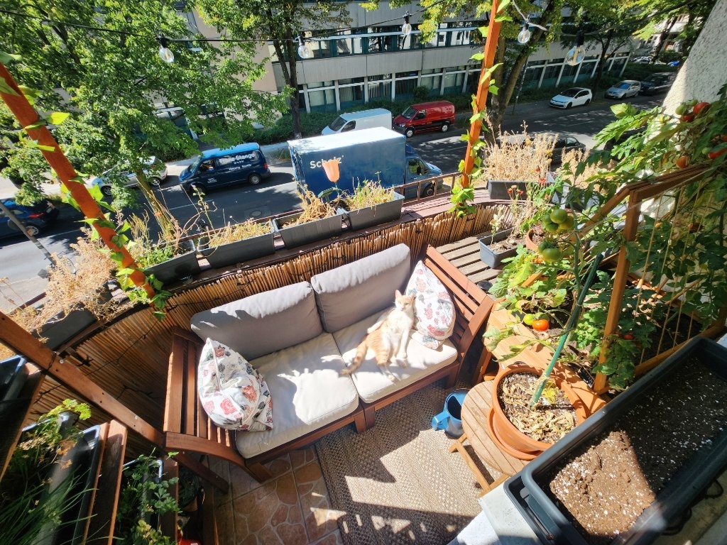WG-Zimmer Tempelhof Rathausstraße - So grün könnte dein Balkon sein :D