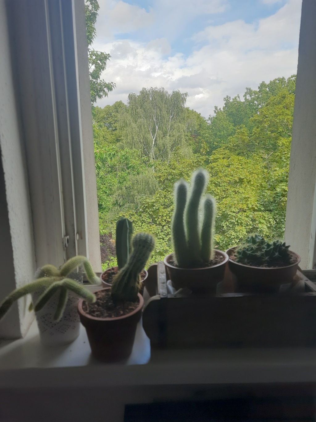 Wohnung Schöneberg rubensstraße - Bild 3