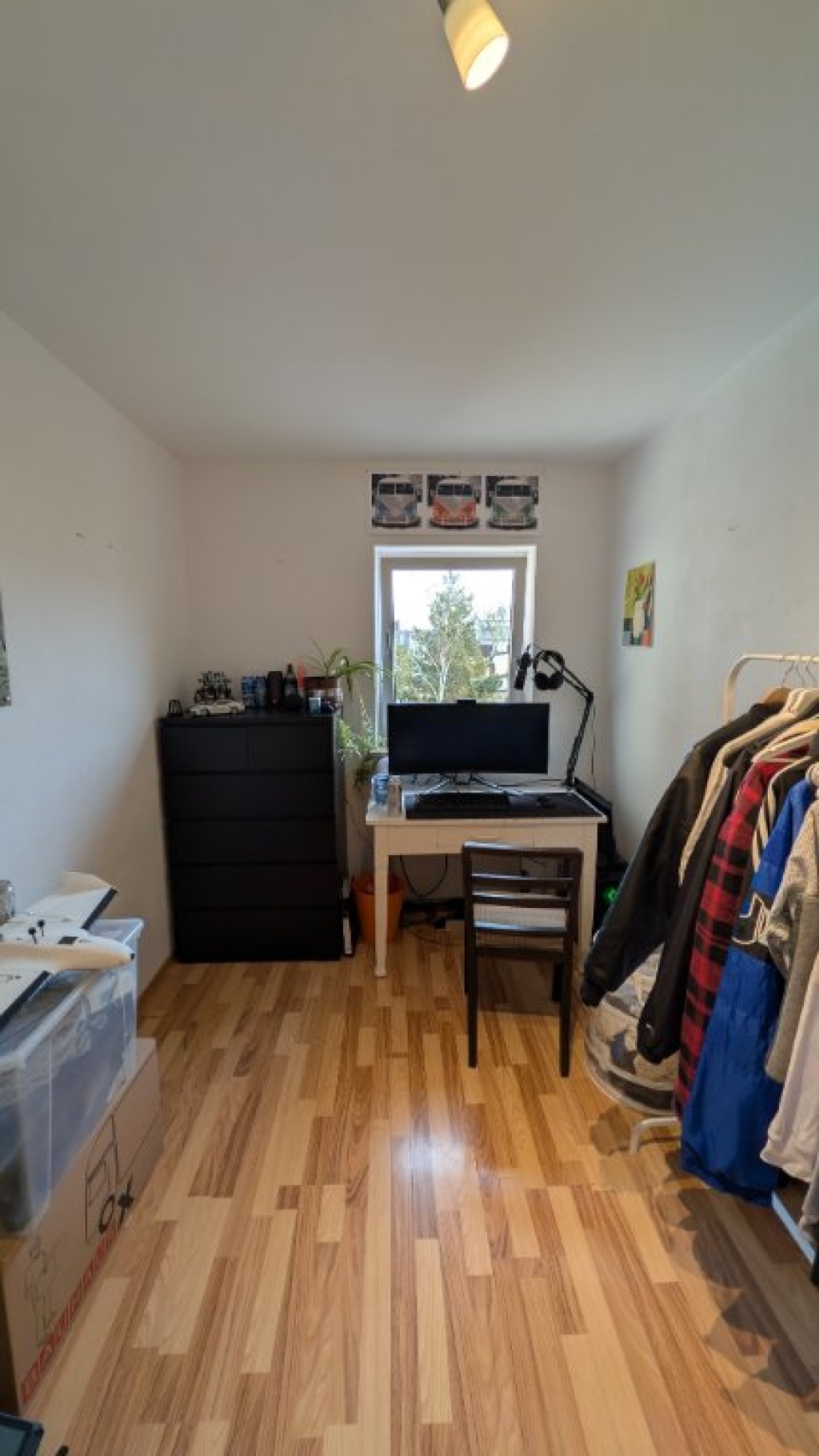 WG-Zimmer Maxvorstadt Theresienstraße 134 - Dein Zimmer