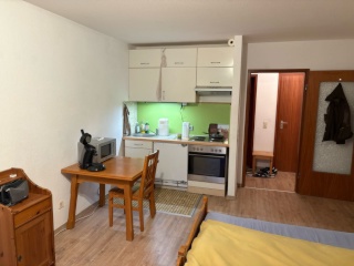 Anzeigenbild: TAGESMIETE: 1-Zimmer-Wohnung in der Weststadt am Neckar