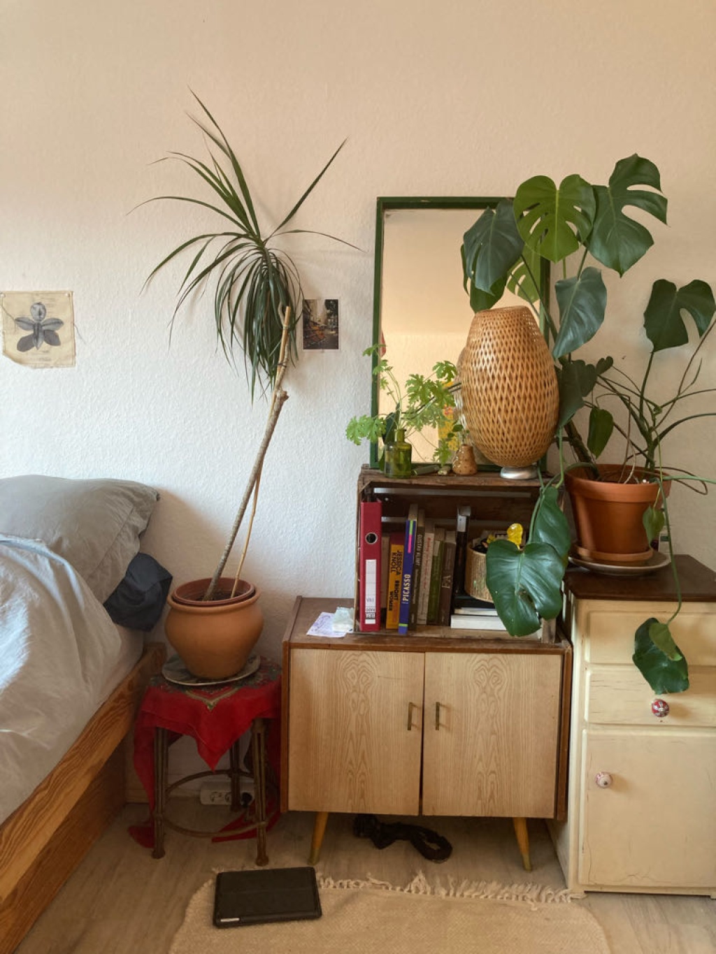 WG-Zimmer Sülz Gymnicher Straße 4 - Bild 3