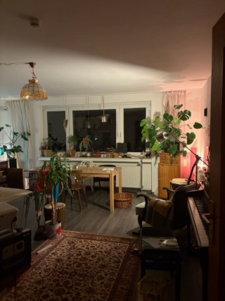 Untermiete 2 Zimmerwohnung Jan-Jun 2027