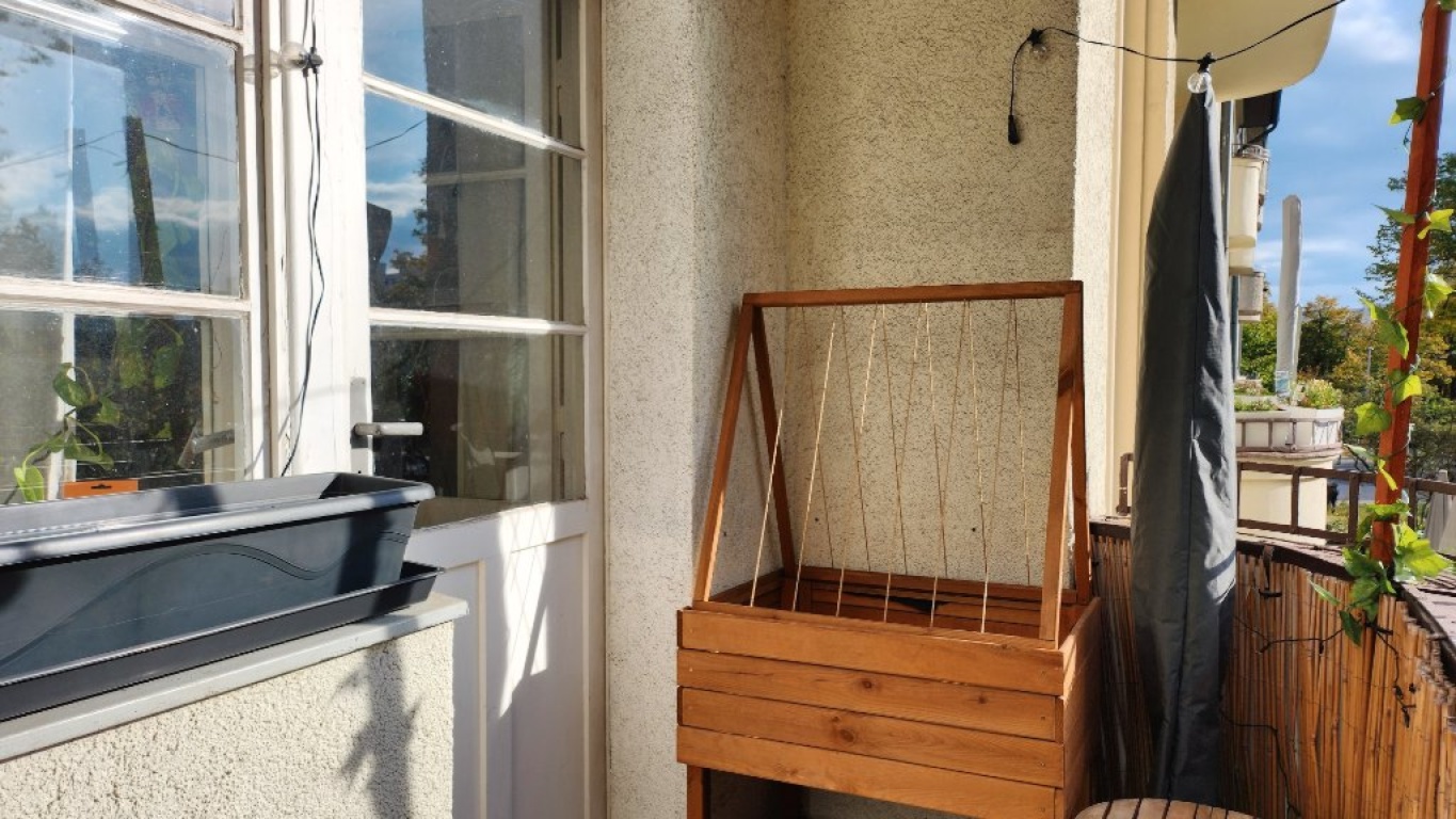 WG-Zimmer Tempelhof Rathausstraße - Hochbeet