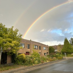 Anzeigenbild