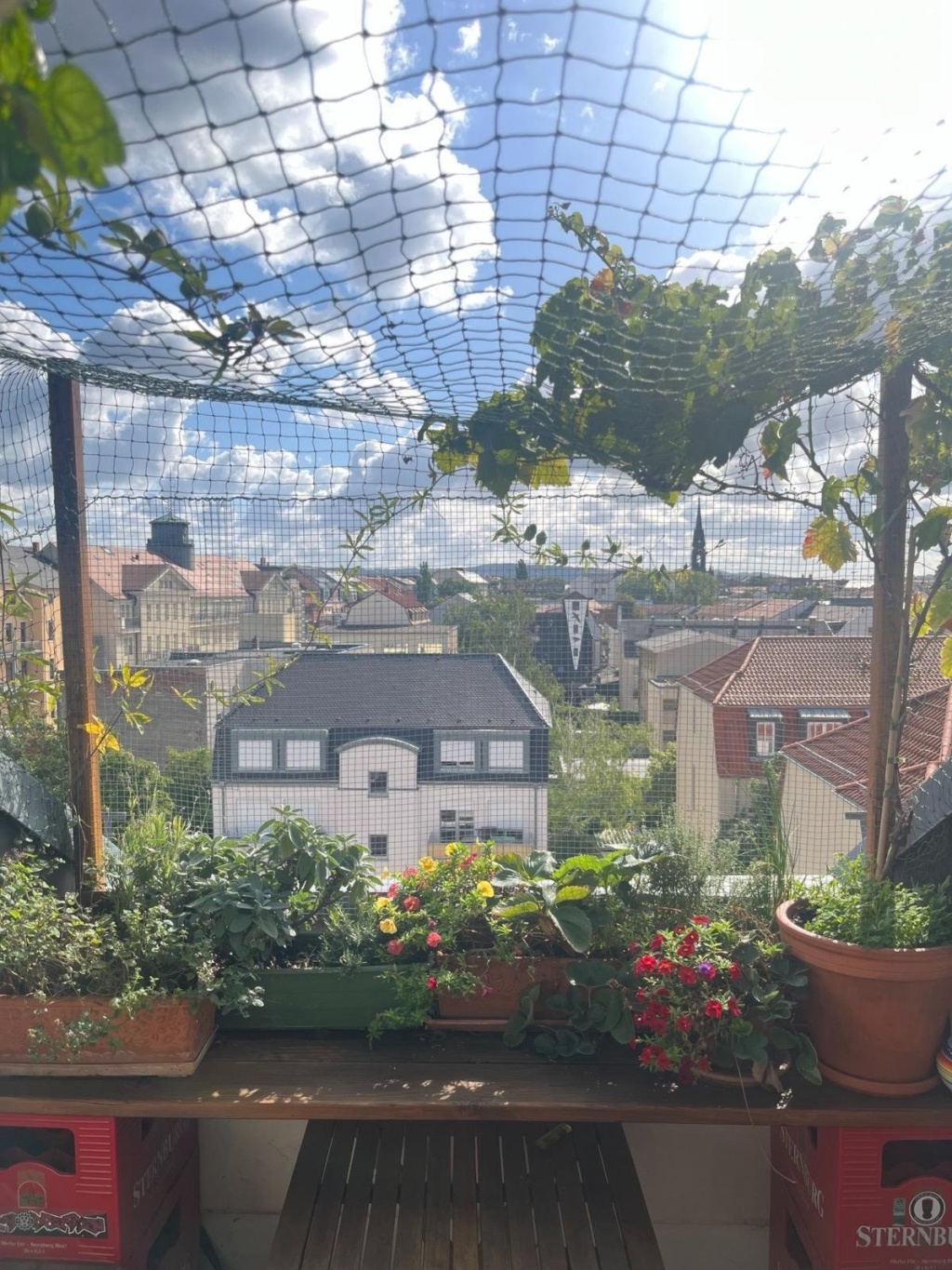 WG-Zimmer Äußere Neustadt Königsbrücker Straße 28 - Balkon