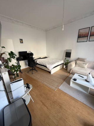 Large 1-room flat with separated kitchen and balcony — photo 1