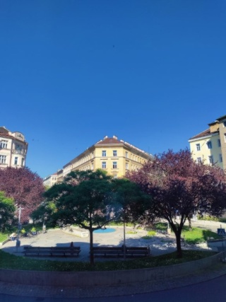 WG-Zimmer, 25 m², sonnig mit Parkblick, Leopoldstadt, Leopoldstadt