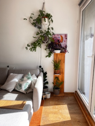 Untermiete befristet: helle Dachgeschosswohnung gut angebunden — photo 1