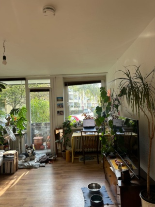 helle Zwei-Zimmer Wohnung in bester Lage zur Zwischenmiete