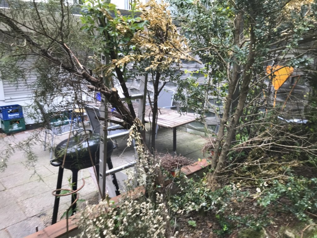 WG-Zimmer Giesing Bodelschwinghstraße 13 - Bild 2