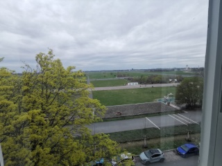 Schillerkiez nest above Tempelhoferfeld — photo 1