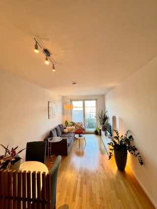 Helle 2-Zimmer Wohnung in Pankow - unbefristet - 55 m2, Neubau mit HWR, großer Balkon — photo 1