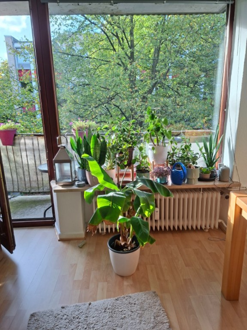 Zentrale 2-Zimmer Wohnung in HH Eimsbüttel (unmöbiliert)