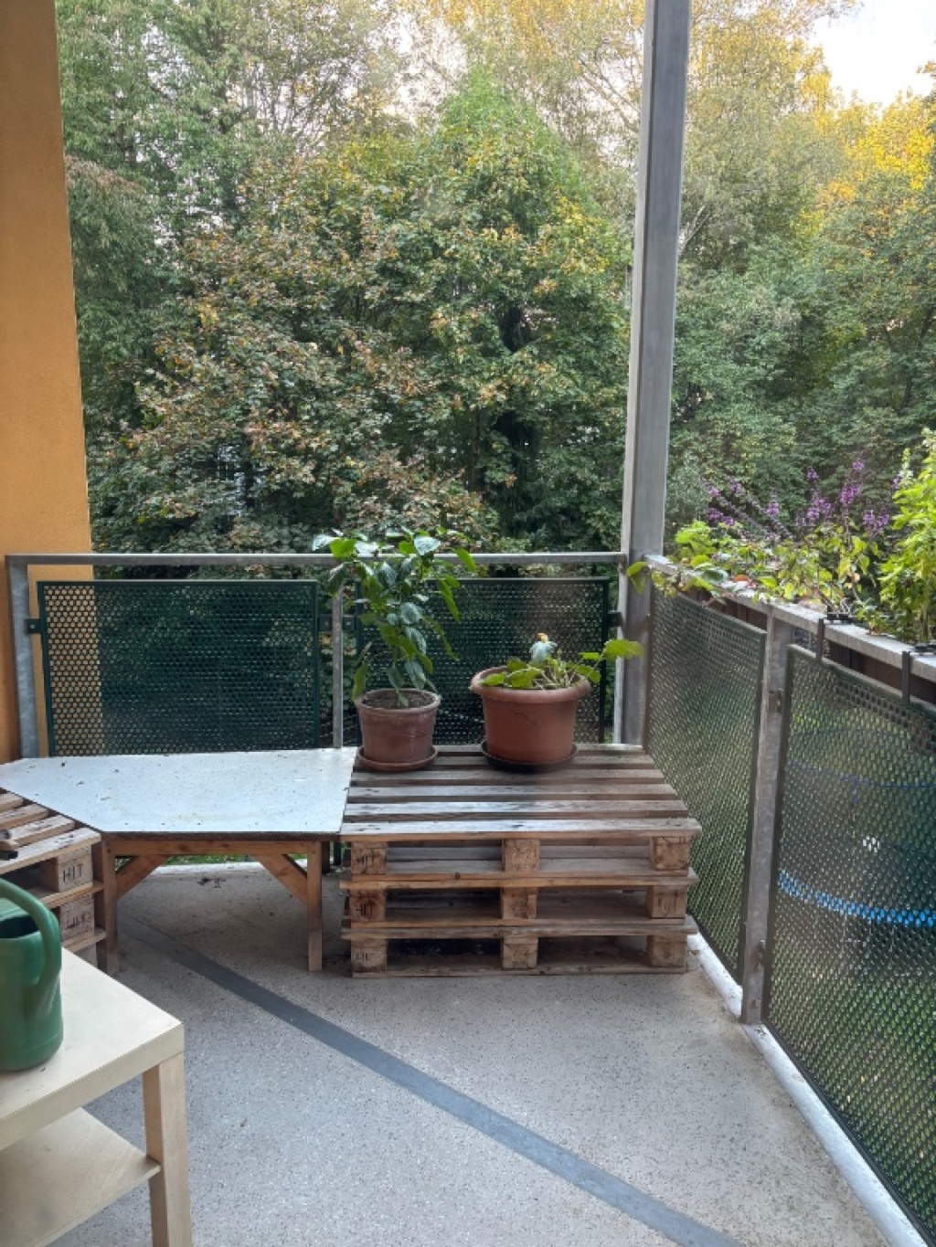 WG-Zimmer Kaßberg Franz-Mehring-Straße - Balkon