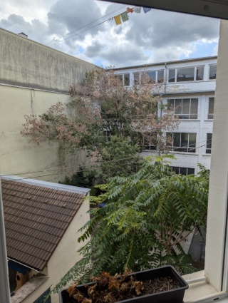 Anzeigenbild: Befristete Untermiete: 2 Zimmer Wohnung in Karlsruher Südstadt