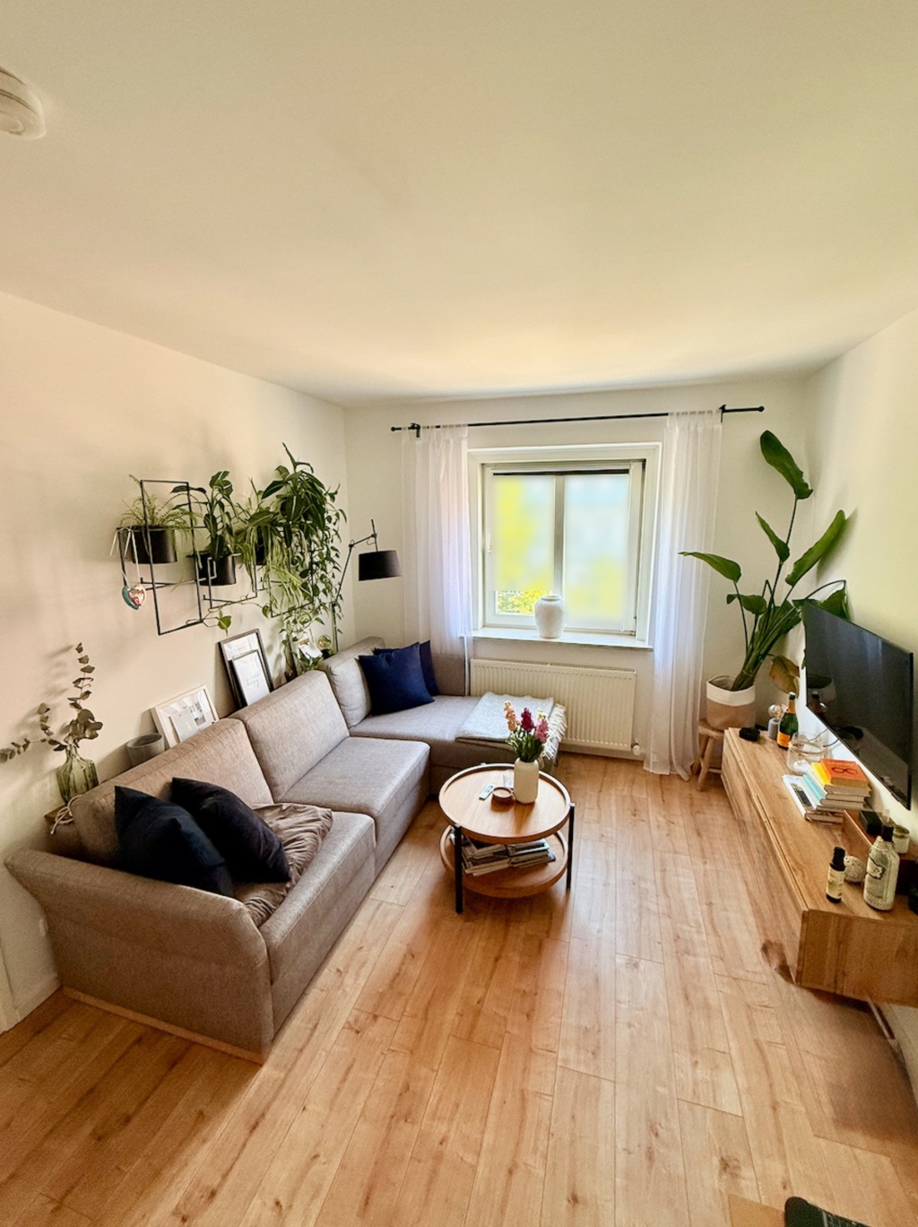 Wohnung Schwabing-West Clemensstr. - Wohnzimmer