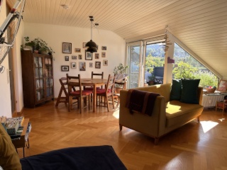 Anzeigenbild: Helle 2-Zi-Wohnung mit Balkon und schöner Aussicht im Freiburger Osten zur Zwischenmiete