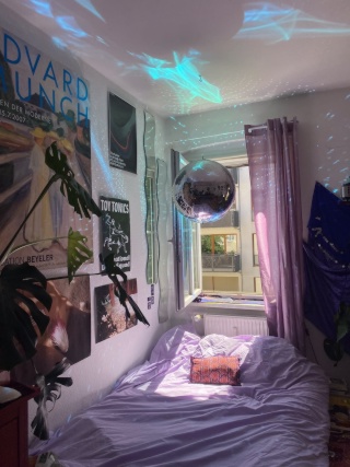 Cozy flatshare for 5 months in prenzlauer berg